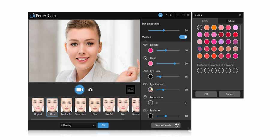 CyberLink PerfectCam Premium