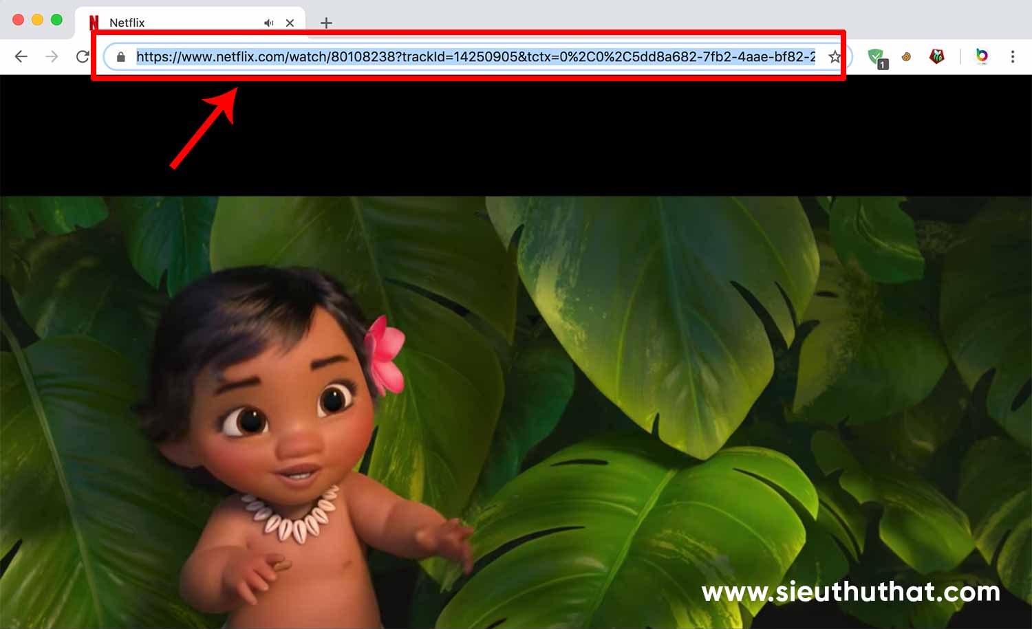 Tải phim trên Netflix