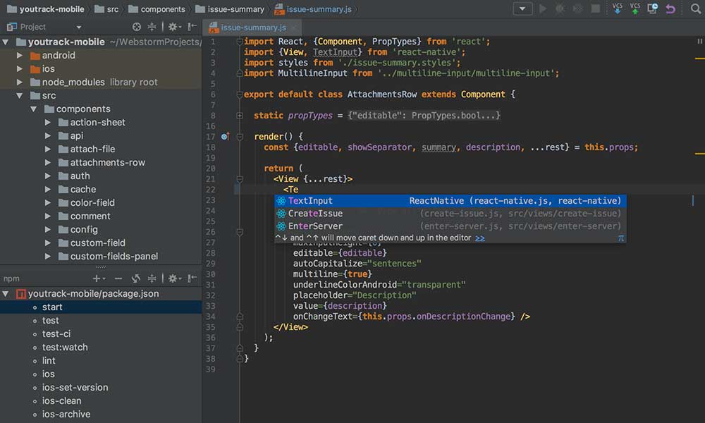 JetBrains WebStorm 2019 Full