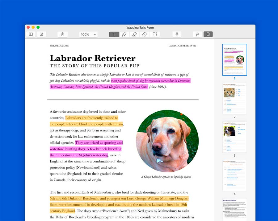 Notability cho Mac