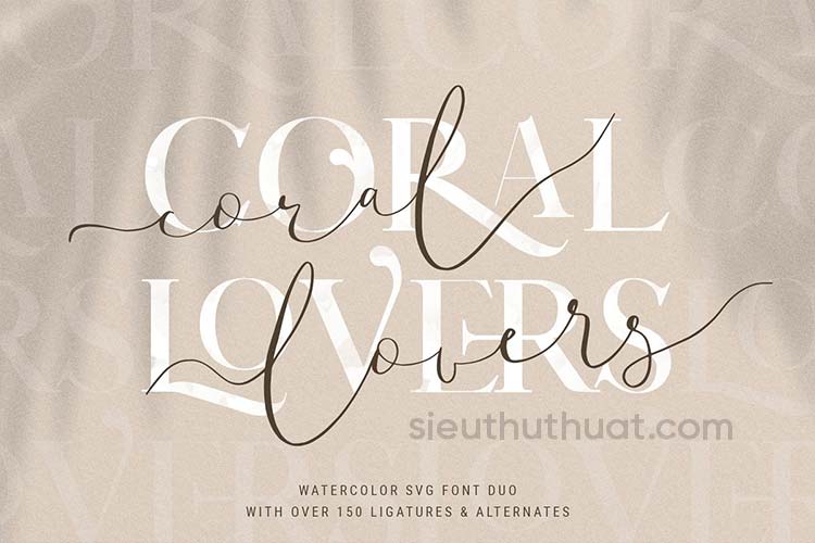Font Bundle Limited Time 4768827 3