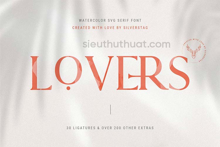 Font Bundle Limited Time 4768827