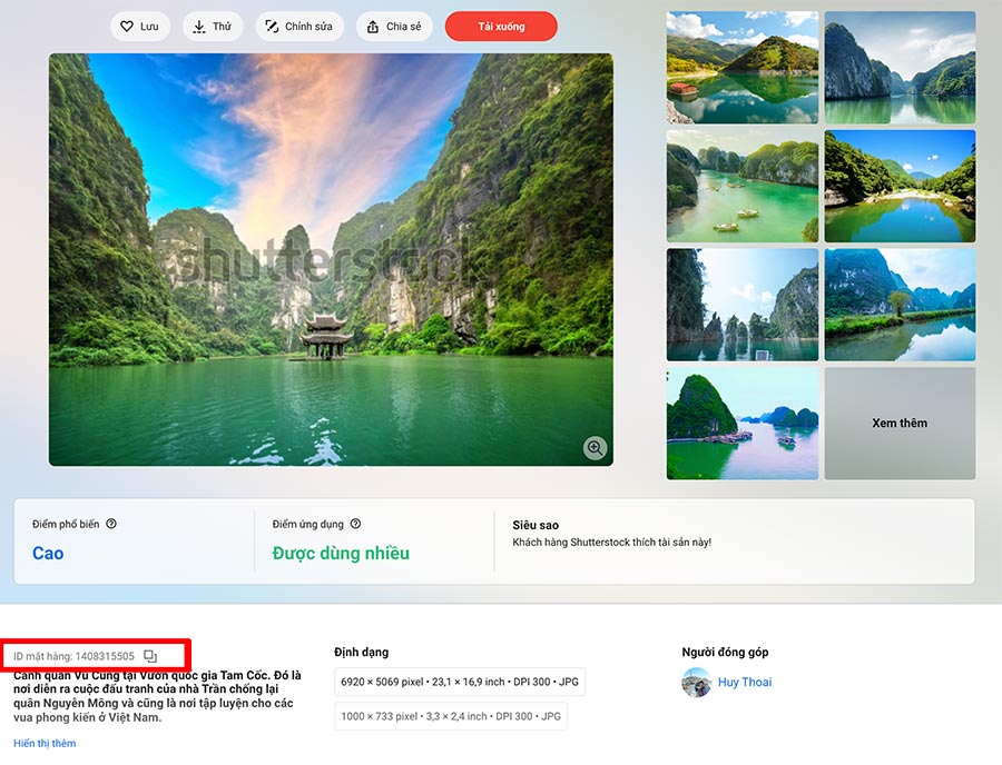 Get link shutterstock miễn phí